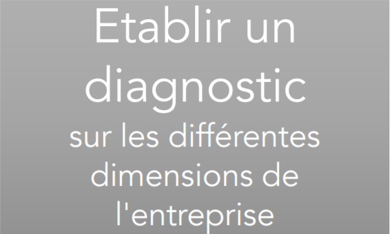 Etablir un diagnostic sur les différentes dimensions de l'entreprise